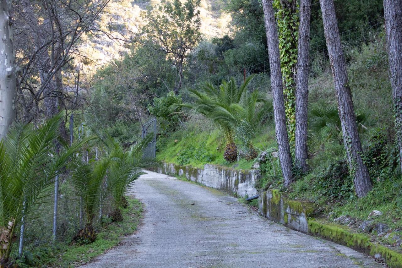 Stay Wild En Las Casitas De Huerta Arriba Benamahoma Exterior photo
