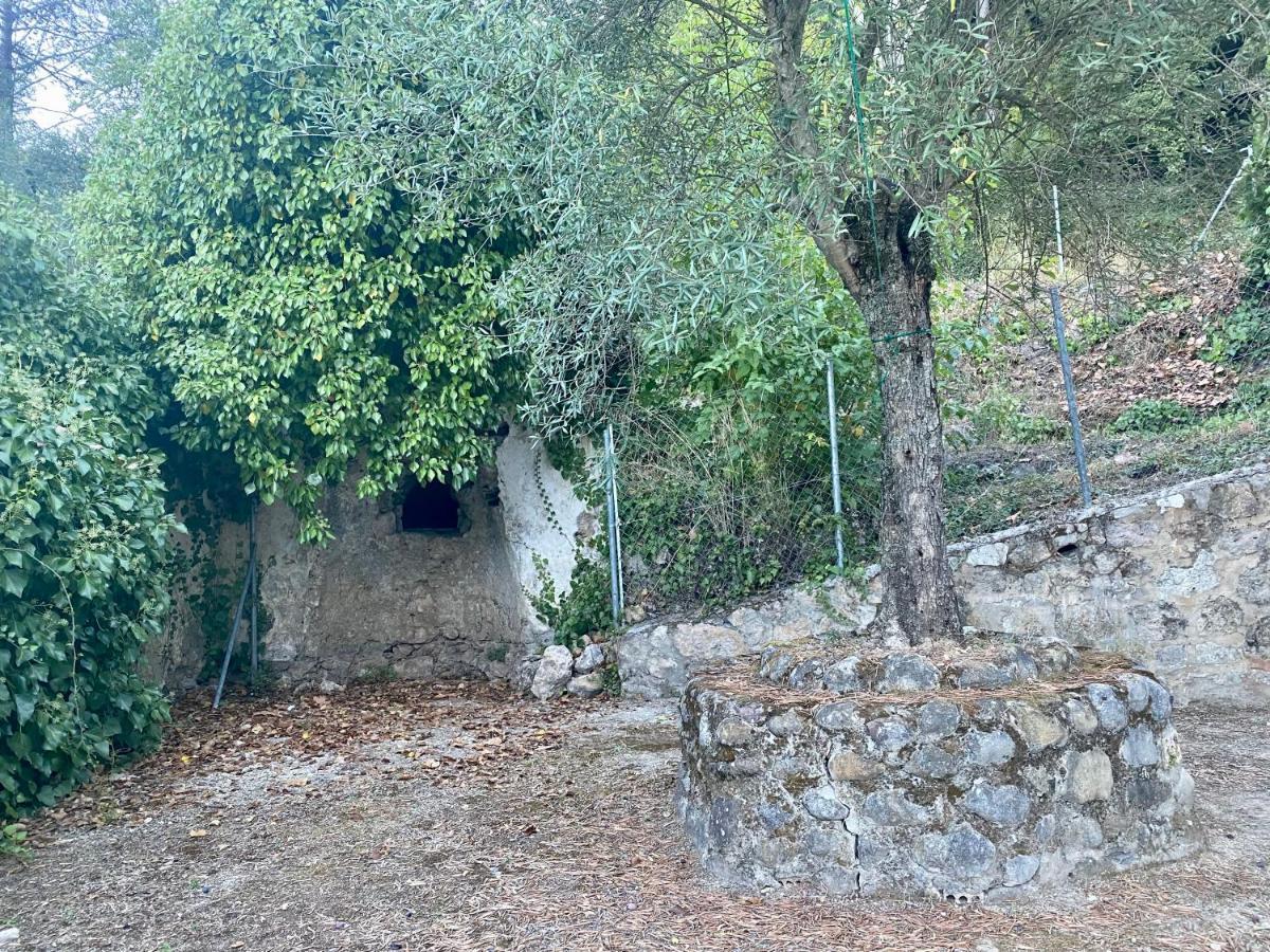 Stay Wild En Las Casitas De Huerta Arriba Benamahoma Exterior photo